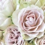 初回チャットで差がつく！第一印象と自己紹介で心をつかむコツ✨