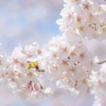 春は新しいことを始めるチャンス！