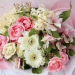 春の不調に要注意！万全コンディションへ🌸